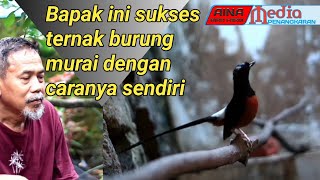 Download lagu peternak burung murai ini sukses mp3