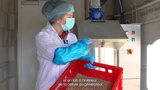 Smoked Sturgeon Filets