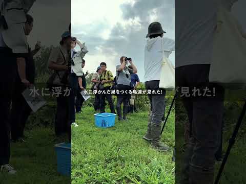 課外活動！湿原エコツアーPart2 #大学生 #北海商科大学