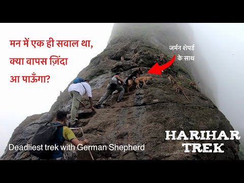 Harihar Fort With German Shepherd | We made history | Impossible Trekk 