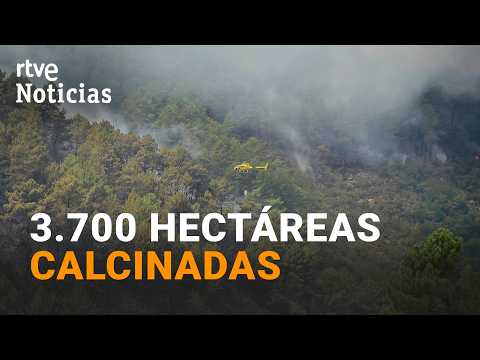 Incendios Forestales | El tiempo da una tregua para atacar por aire el fuego de Las Hurdes | RTVE