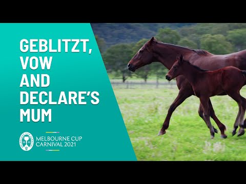 Widden Stud - Birthplace of Vow And Declare | Melbourne Cup Carnival | Channel 10