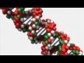 Cardiovascular Pathology - cell function and cell ...