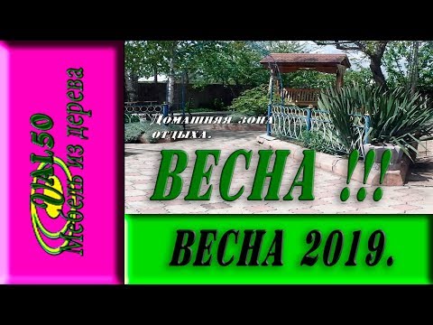 Весна 2019 в своей красе