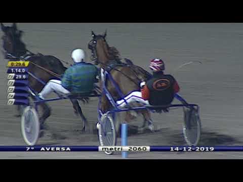 Aversa trotto 14 Dicembre 2019 - 7° Corsa