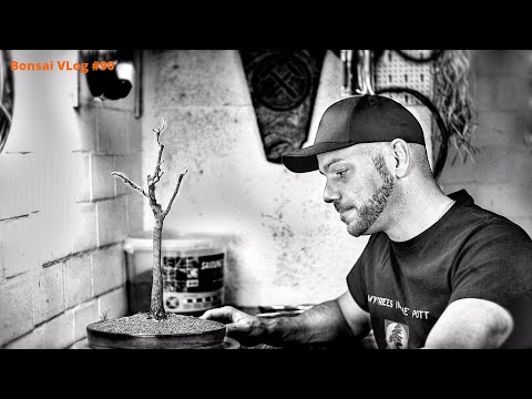 Einer geht noch, einer muss noch gehen! [Tod] | Bonsai VLog #90