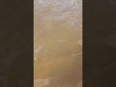 🇺🇾Paso cuello Uruguay Canelones #tiranostemblad #uruguay