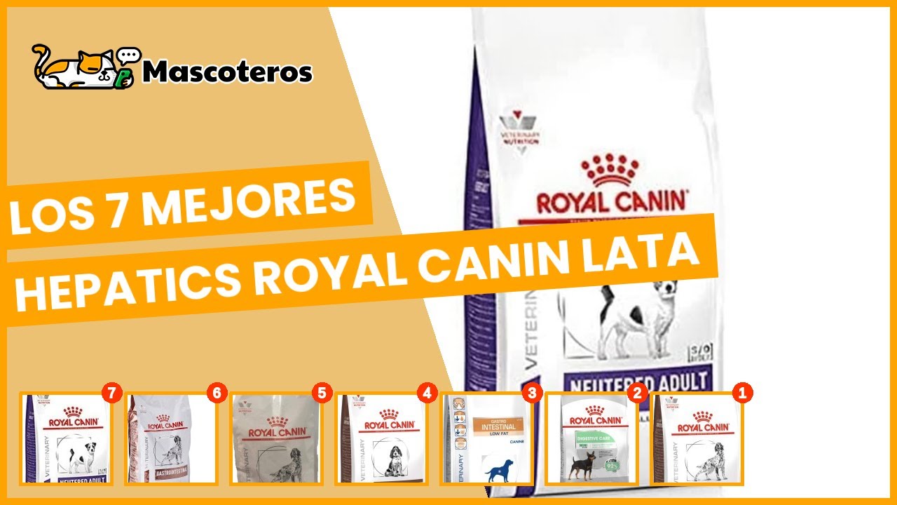 Hepatics royal canin lata: los 7 mejores del 2022