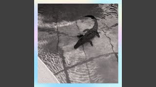 Mermaid in Beverly Hills