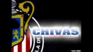 Contestacin Chivas  A Molotov Cartel De Santa  broz656