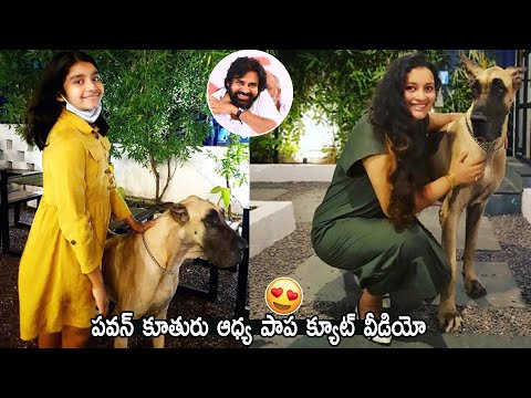 Pawan Kalyan Daughter Aadhya Latest Cute Video | Renu Desai | Life Andhra Tv Video