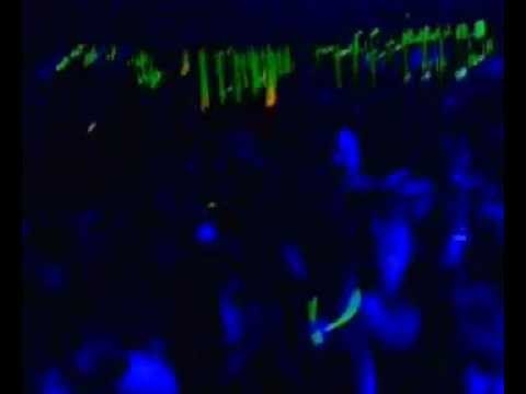 WILLY ALCOCER @ TEATRO BARCELÓ LIGHT - INAUGURACIÓN: "THIS IS FOR YOU 2"