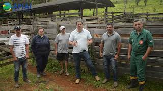 PROGRAMA DE INSEMINAÇÃO ARTIFICIAL - CONAFER MAIS BRASIL