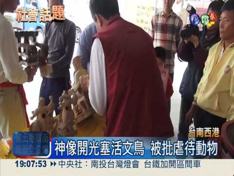 文鳥塞神像涉虐 廟方辯羽化成仙