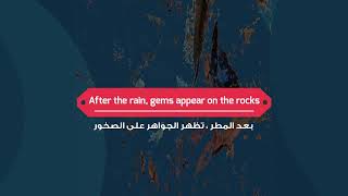 After the rain, gems appear on the rocks