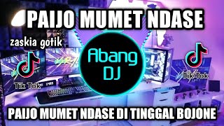 Download lagu DJ PAIJO MUMET NDASE REMIX VIRAL TIKTOK TERBARU 20... mp3