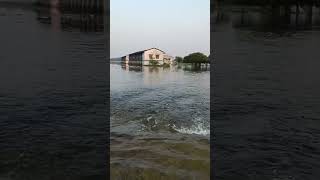 Download lagu utraula  raza bazar badh vedio||utraula balrampur badh||#shorts #badh #utraula #badh #balrampur mp3