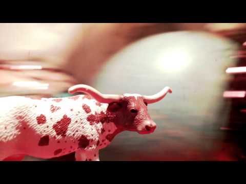 COPY004 - Pilas - Revolution 29 (Video Cut)