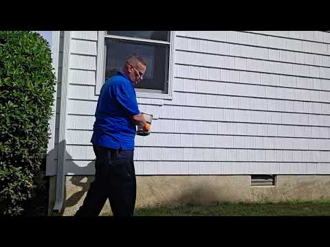 Treating for Ants Around the Home in Brielle, NJ