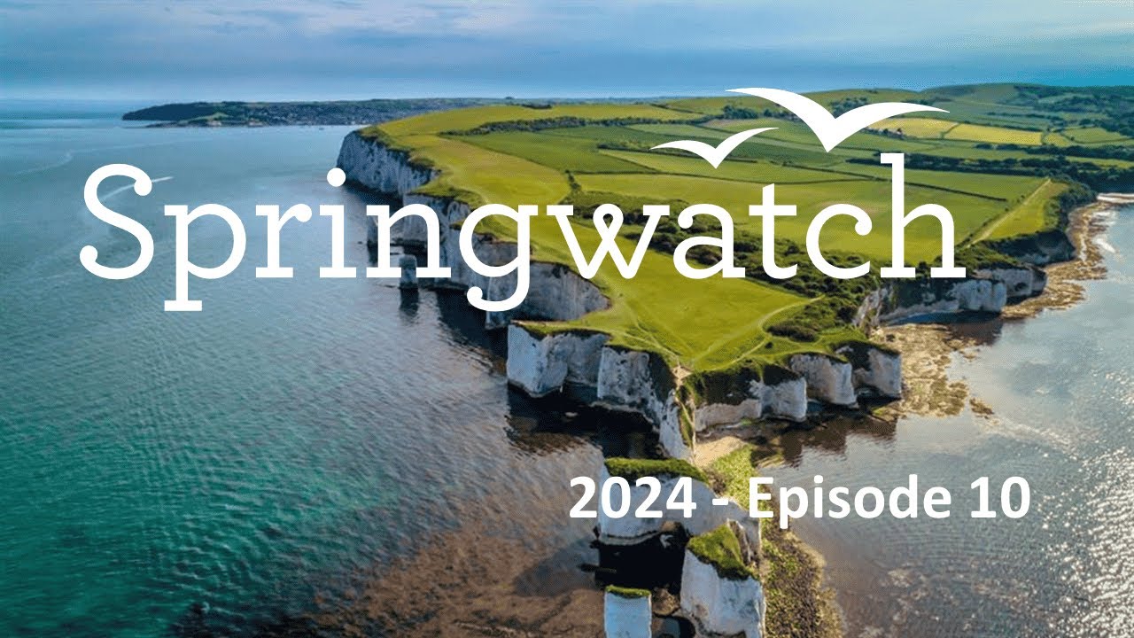 Springwatch 2024   Episode 10