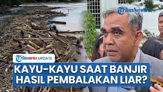 Ketua MPR Akui Ada Pembalakan Liar, Klaim Kayu Gelondongan Banjir Sumatera Hasil Illegal Logging?