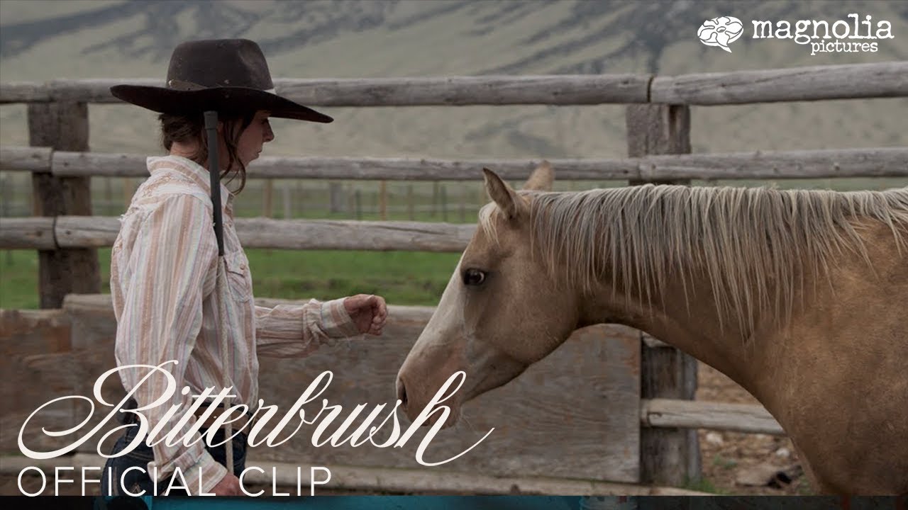 Bitterbrush - Starting a Colt Clip