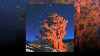 Indian '94  - Indian Groove (Convent Mix)