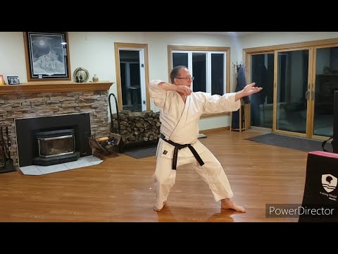 Home Shotokan Karate Training - January 11th 2021