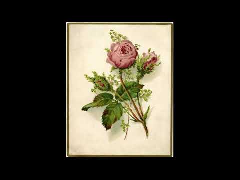 Rosé - MadeInParis x Hamza type beat (prod.skinnytim)