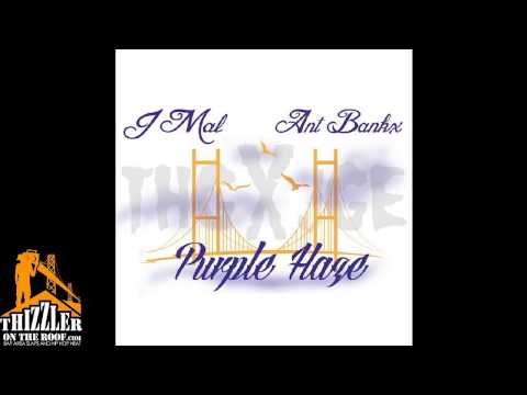 J-Mal Ft. Ant Bankx - Purple Haze (Exclusive) [Thizzler.com]