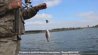 Рыбалка на река в нижней крынке