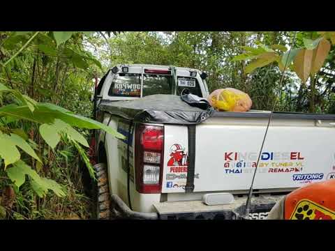 Day 4 Of 28th Borneo Safari 2018