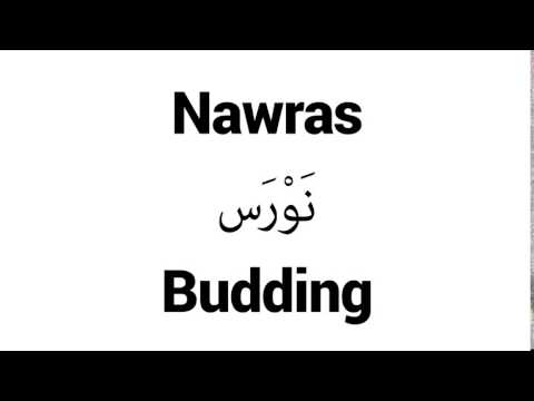 How to Pronounce Nawras! - Middle Eastern Names