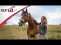 Homestory Zu Besuch Bei REITTV Teamreiterin Isabelle
