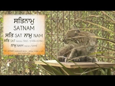 Spirit Feather Sat Nam