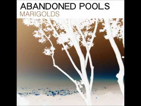 Abandoned Pools - Marigolds