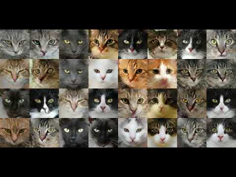 These Cats Do Not Exist