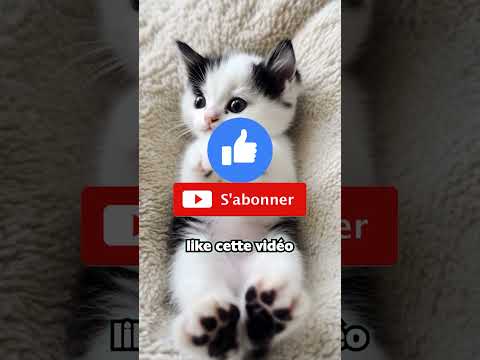 What's in the Tomb? 😱