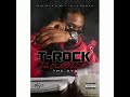 T-Rock 100
