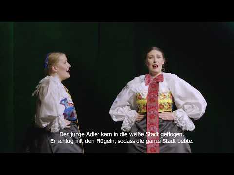 Kolo Slavuj - Doletil je orlić mlad (Live at Volkstheater #4)