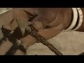 Desert Rose Poisonous Arrows - Ray Mears World ...