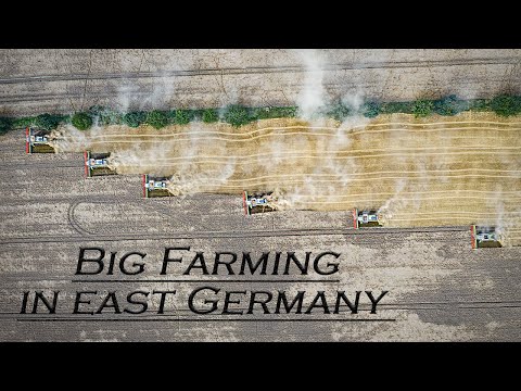 🇩🇪 Big Farming in East Germany 2021 - Farming XXL - BEST OF 2021 ▶ Agriculture Germanyy