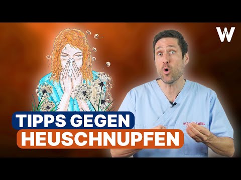 Heuschnupfen & Pollensaison! Symptome, Behandlung und MEINE TIPPS zur Linderung