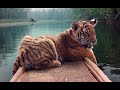 Le Nid Du Tigre Bande Annonce