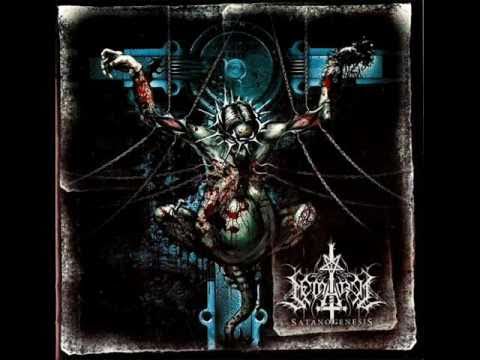 Semargl - Blessing of Insanity