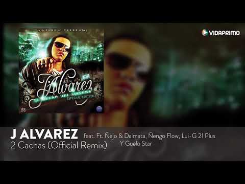 2 Cachas Remix J Alvarez feat ñejo, Dalmata, ñengo Flow, Lui G 21 Plus, Guelo Star