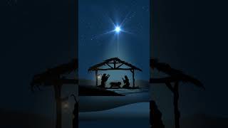 Putting up your tree? Here’s our Spotify Christmas playlist! Search “Christmas with The Piano Guys”