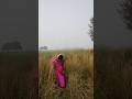 Choda Chodi