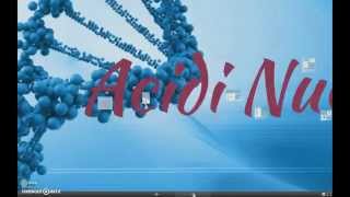 Biomolecole Acidi Nucleici