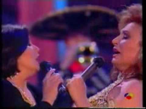Amor Callado video